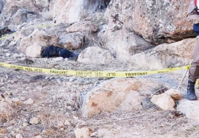 Hayvanlarını otlatmaya giden şahıs ölü bulundu