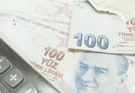 Hazine ve Maliye Bakanlığı 9,1 milyar lira borçlandı
