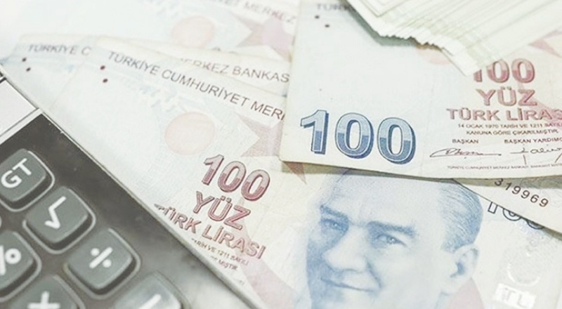 Hazine ve Maliye Bakanlığı 9,1 milyar lira borçlandı