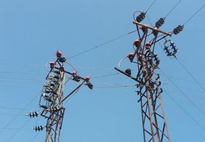 Hem kuş ölümleri hem de enerji kesintileri önleniyor