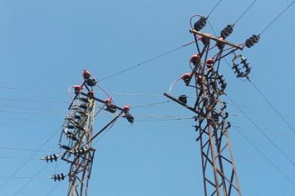 Hem kuş ölümleri hem de enerji kesintileri önleniyor