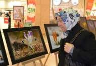 Her Aile bir çiçektir sergisi açıldı