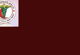Her gün, bir uçak dolusu yurttaşımızı toprağa veriyoruz