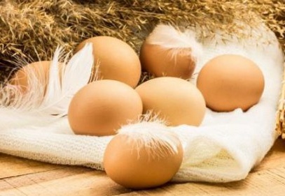 Her gün bir yumurta çocuk gelişimine katkı sağlıyor