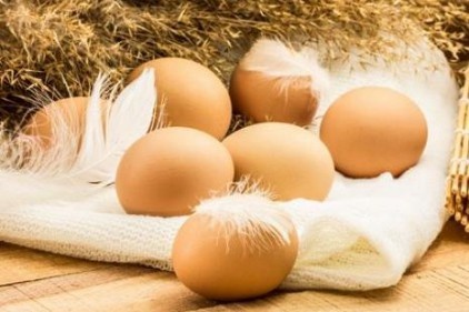 Her gün bir yumurta çocuk gelişimine katkı sağlıyor