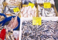 Her keseye uygun balık var….