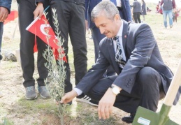 Her tarafı ağaçlandırmamız gerekiyor