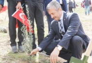 Her tarafı ağaçlandırmamız gerekiyor