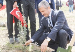 Her tarafı ağaçlandırmamız gerekiyor