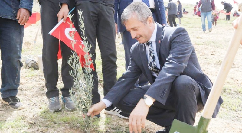 Her tarafı ağaçlandırmamız gerekiyor