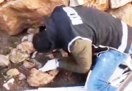 Her taşın altından silah çıktı