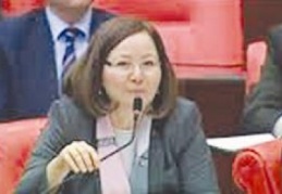 “Her tür şiddet ve herkese karşı şiddetin bitmesi tek dileğimiz olmalı”