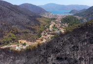 Her yere gelişigüzel ağaç dikilemez