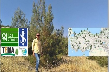 Her yıl 3000 hektar orman alanı yangına maruz kalıyor