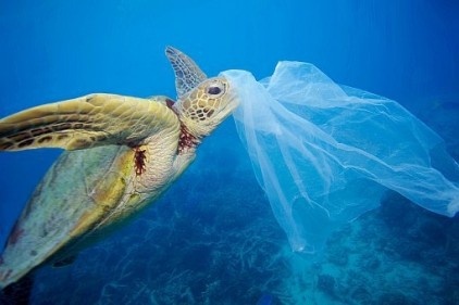 Her yıl 8 milyon ton plastik doğaya karışıyor