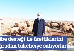 Hibe desteği ile ürettiklerini doğrudan tüketiciye satıyorlar