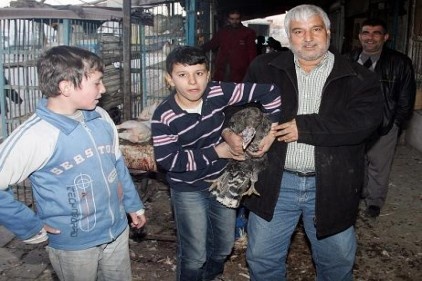 Hindi fiyatları el yakıyor