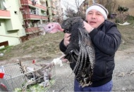 Hindi her zaman tüketilmeli