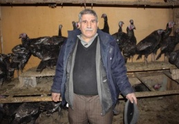 Hindiler de elde kaldı