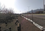 Hindiler elde kaldı