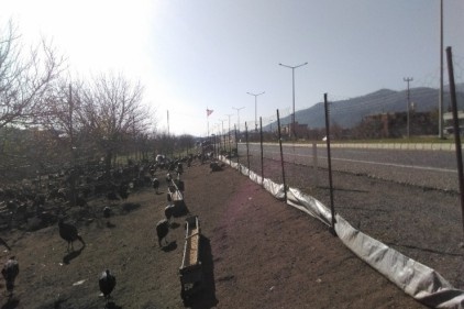 Hindiler elde kaldı