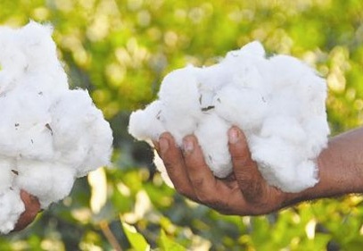 Hindistan ihracatı durdurdu, Türkiye memnun oldu