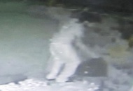 Hırsız güvenlik kamerasına takıldı