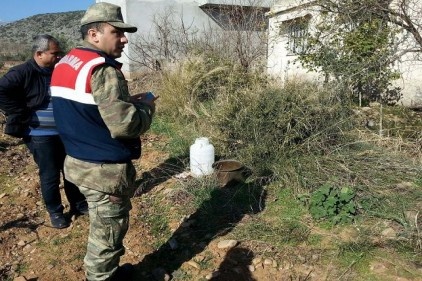 Hırsızlar zeytinyağı da çaldı