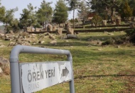 Hitit heykelleri depremden hasarsız kurtuldu