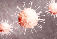 Hızlı yayılan virüs Almanya'da da tespit edildi