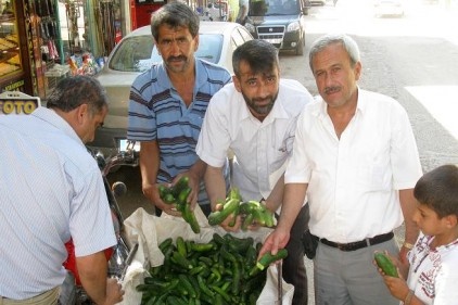 Hormonsuz salatalığın 3 kilosu 1 lira