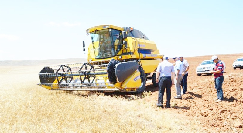 Hububatı kuraklık vurdu rekolte yüzde 50 düştü