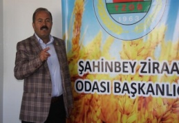 Hububatta yüzde 50’nin üzerinde rekolte kaybı var