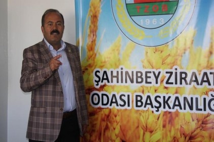 Hububatta yüzde 50&#8217;nin üzerinde rekolte kaybı var