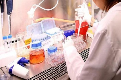 Hücrelerin yeniden kurgulanması yaşlanma etkilerini tersine çeviriyor