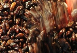 Hurma kilo vermeye yardımcı oluyor