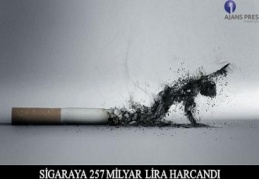 İç piyasada bir trilyon adedin üzerinde sigara satışı oldu