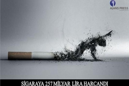 İç piyasada bir trilyon adedin üzerinde sigara satışı oldu
