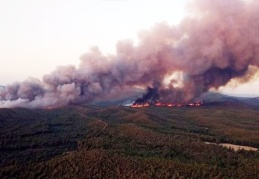 İçişleri Bakanlığı, orman yangınları için valiliklere uyarı gönderdi