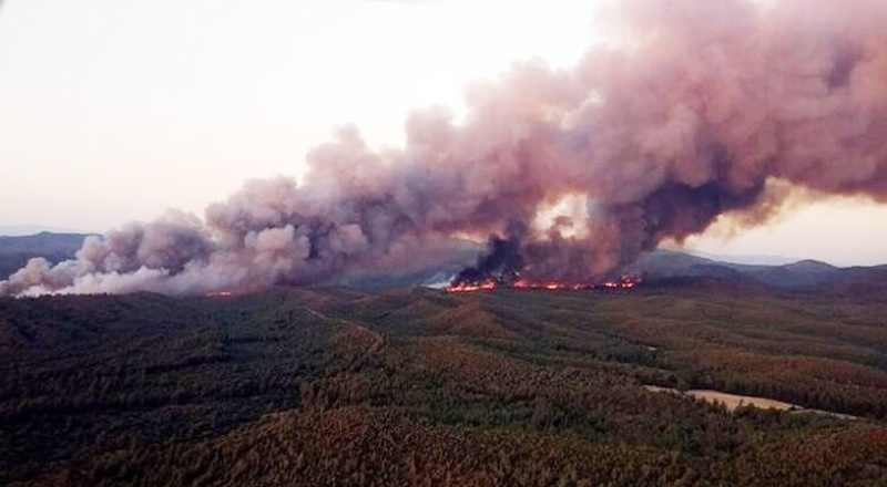 İçişleri Bakanlığı, orman yangınları için valiliklere uyarı gönderdi