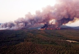 İçişleri Bakanlığı, orman yangınları için valiliklere uyarı gönderdi