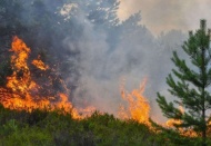 İçişleri Bakanlığı'ndan 81 il valiliğine 'orman yangınları tedbirleri' genelgesi