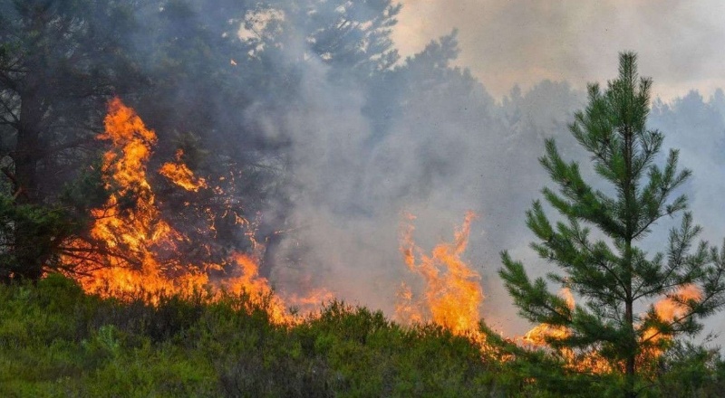 İçişleri Bakanlığı'ndan 81 il valiliğine 'orman yangınları tedbirleri' genelgesi