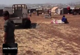 İdlibliler Türkiye sınırına göçüyor