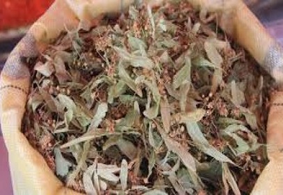 Ihlamur ‘çeyrek altın’ ile yarışıyor