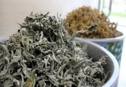 Ihlamurun yerini ada çayı aldı