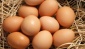 İhracat sıkıntısı özellikle yumurta üretimini etkiledi