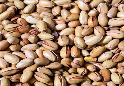 İhracatçı, fıstığın dahilde işleme alınması için düğmeye bastılar