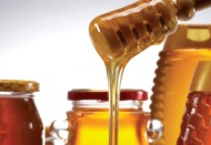 İhracatçılar çam balını dünyaya tanıtıyor