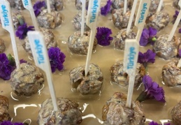 İhracatçılar, depremzede üreticilere pozitif ayrımcılık yapacak